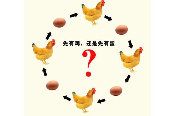 先有鸡还是先有蛋标准答案 其实无论你怎么回答都是正确的