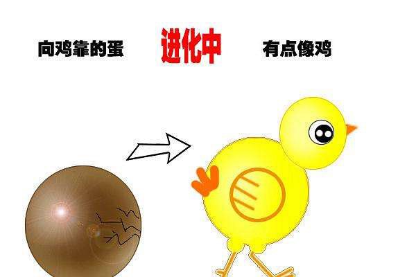 先有鸡还是先有蛋标准答案 其实无论你怎么回答都是正确的