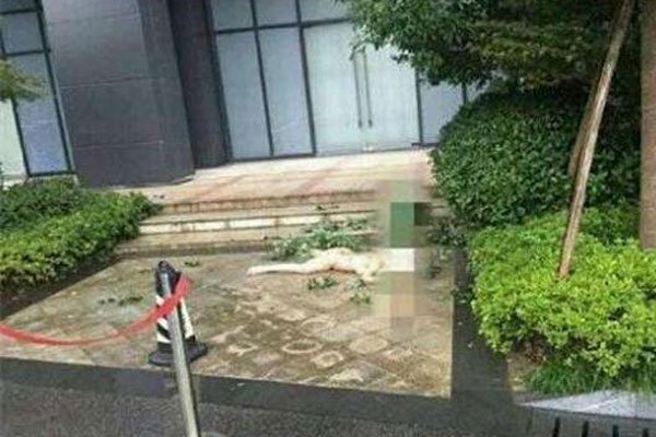 �ν�ȫ����¥������� ��������ô���ν��й�ϵ