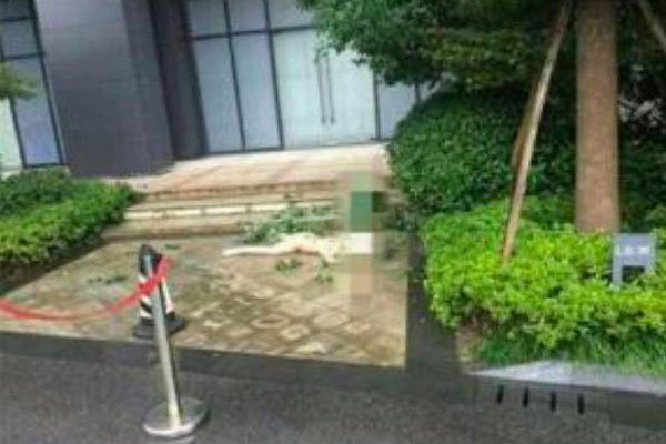 任娇裸死未ps 嫌疑人杨旭文能复出拍戏是被洗白了吗