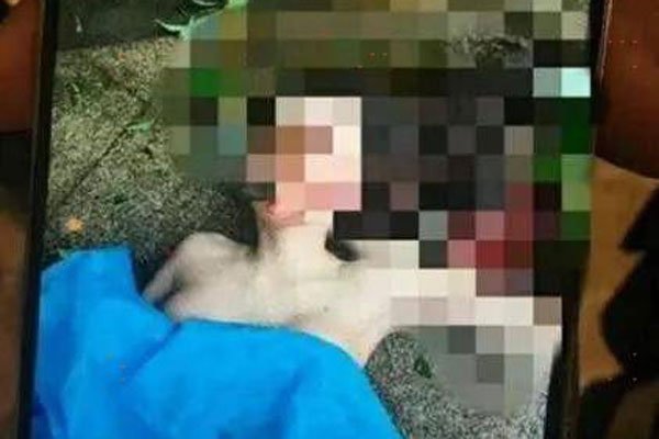 任娇裸死未ps 嫌疑人杨旭文能复出拍戏是被洗白了吗