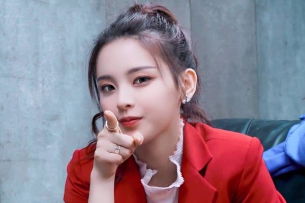 杨超越锦鲤是什么梗 企鹅要赚钱包装最重要