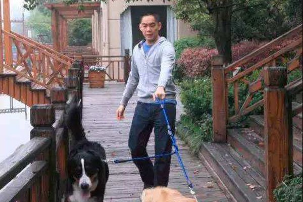 张钱豪是做什么的 张雨绮的又一新宠这次看人准吗