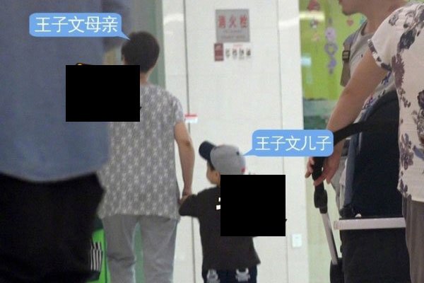 王子文个人资料简介及家世 个子不大胆子不小都结婚生孩子了
