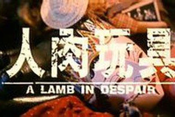 关秀媚主演的人肉玩具 胆子比较小的人晚上别看