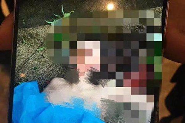 �ν�������Ƭδ���� ����̫���������