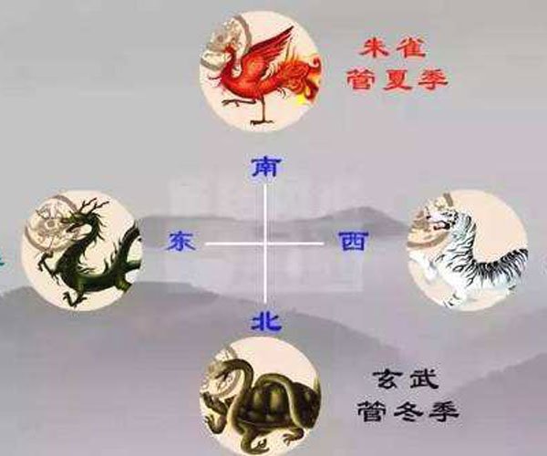 뻧ô ĻŽзˮ