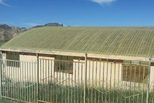 血渭一号大墓盗墓过程 不敢公开怕被盗人抓住了