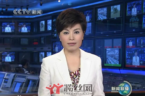 央视主持人李瑞英简历资料 李瑞英工资多少 (http://www.smallgear.cn/) pm 第1张