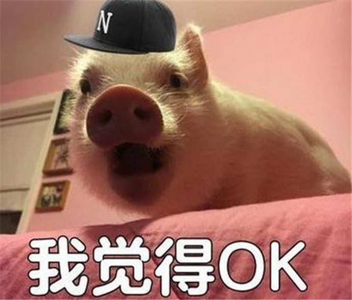 聊天中ojbk是什么意思 怎样回对方的ojbk