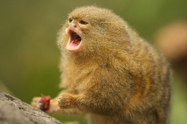 ������ʲô���� ����Ϊ�������ж����