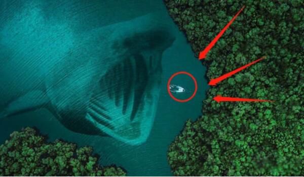 马里亚纳海沟恐怖在哪 马里亚纳海沟在哪里有多深多少米