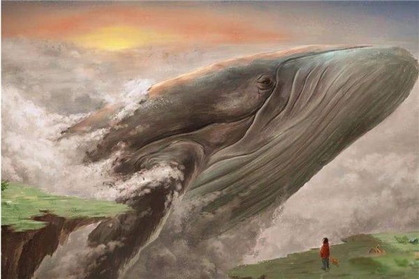  øɴ಻۾