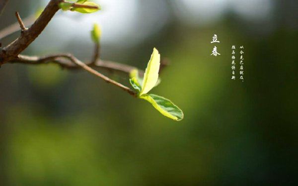 被禁的好听歌曲都有哪些 五大被禁的神曲盘点
