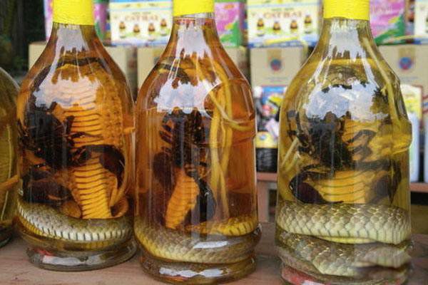 蛇泡酒泡了三年没死还咬死个人 为什么蛇泡酒里还能活