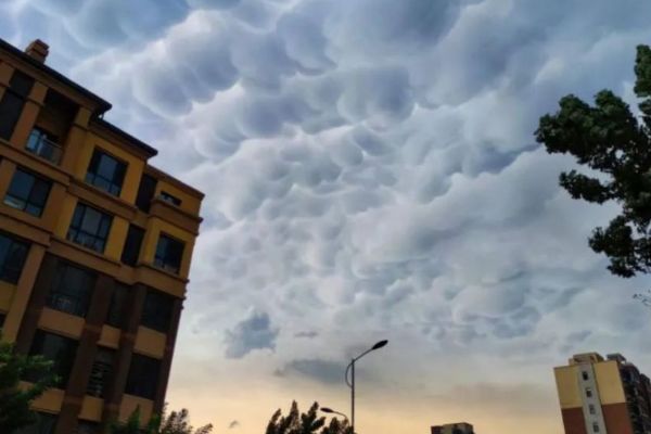 ����������������ʲô�� ñ��������ô�γɵ�