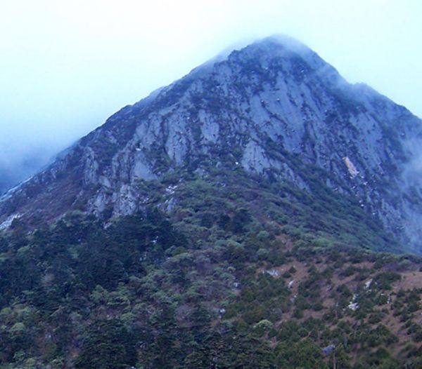 黑竹沟未解之谜真相 四川黑竹沟最可怕的地方是什么