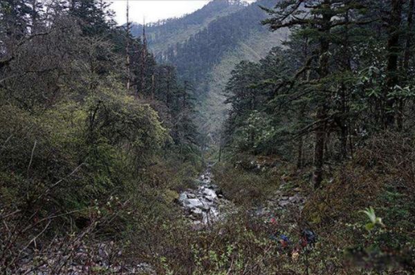 黑竹沟未解之谜真相 四川黑竹沟最可怕的地方是什么