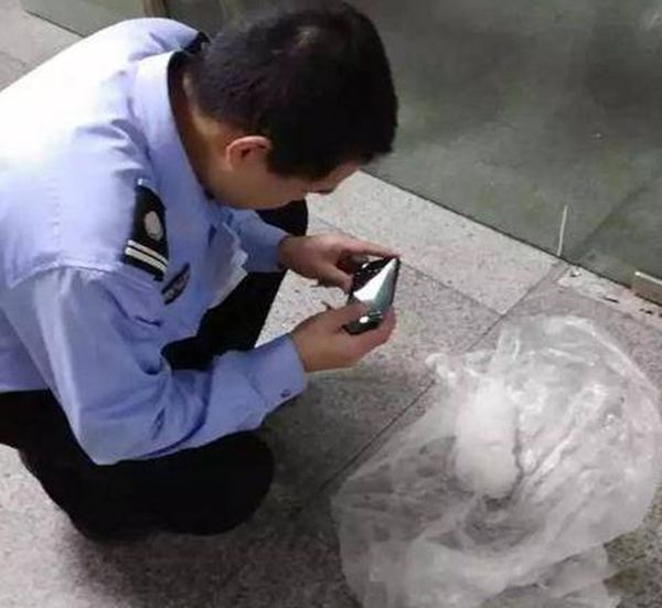 �㽭�������ϵ��²��������¼� �콵�����ı���Ӻζ���