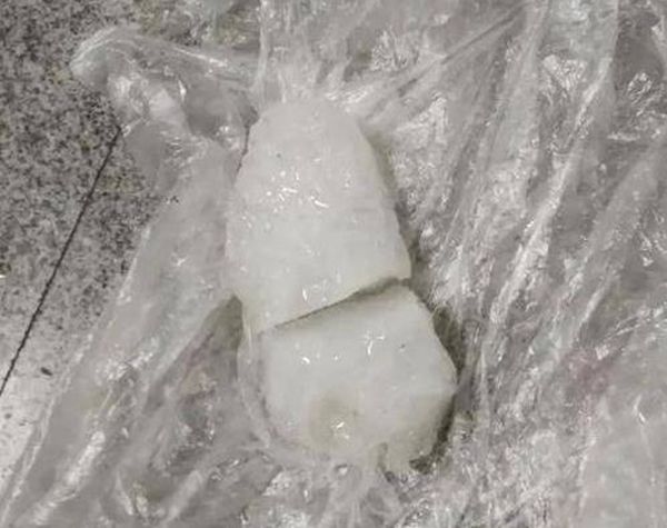 �㽭�������ϵ��²��������¼� �콵�����ı���Ӻζ���