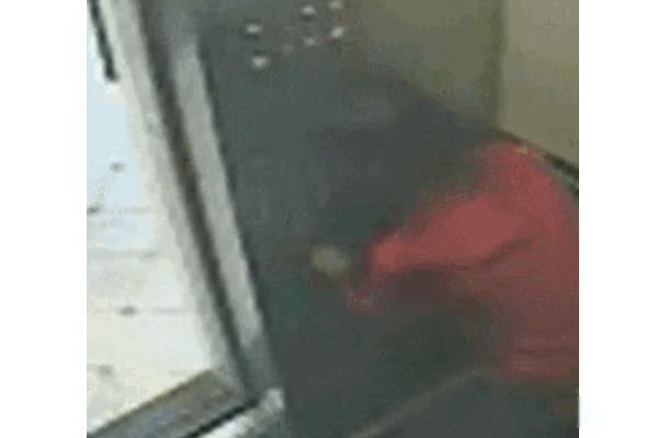 蓝可儿电梯监控录像怎么看 蓝可儿入住酒店叫什么