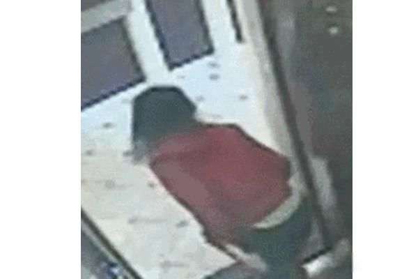 蓝可儿电梯监控录像怎么看 蓝可儿入住酒店叫什么