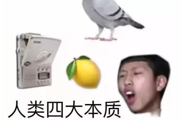 ˫�깷�����˵���˼�� ��������˫�깷����˼��׻�