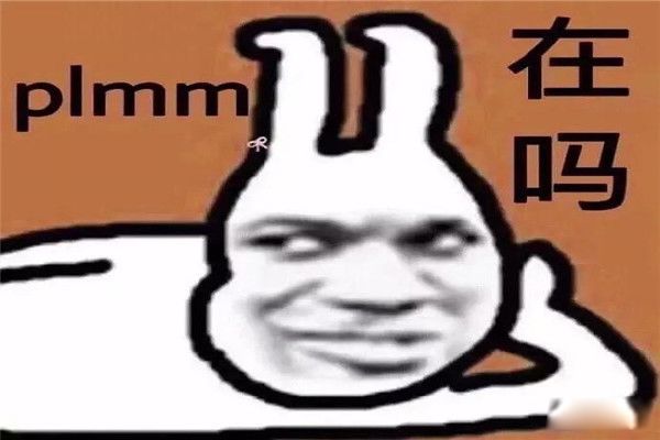 网络用语xl是什么意思的缩写 XL的一些用途