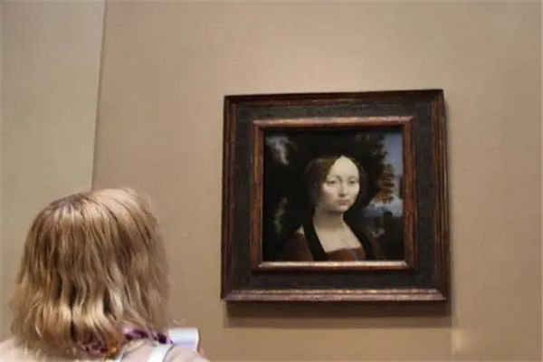 ��������ֲ�����Ʒ����Щ �����һ�������Ļ����̵�