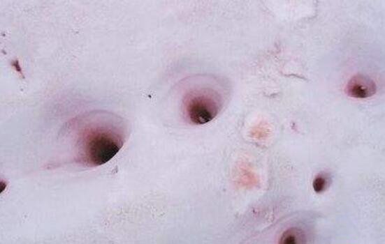 西瓜雪是什么意思 西瓜雪出现的原因