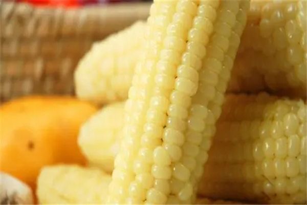 Ŵ���׼��ʻ������� һ��Ŵ���������߲���