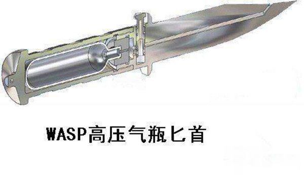 wasp匕首是什么东西 这把刀到底有多厉害