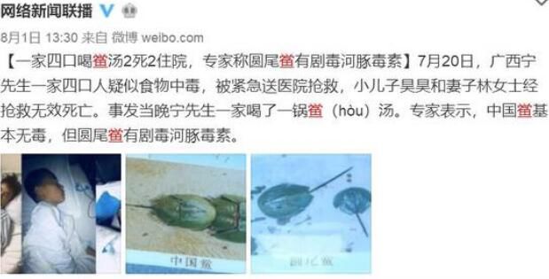 圆尾鲎是什么动物图片 圆尾鲎和中华鲎的区别有没有毒性呢