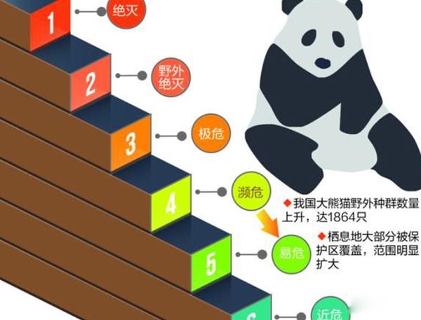 最濒危物种名录排名前十 远东豹现在有多少只