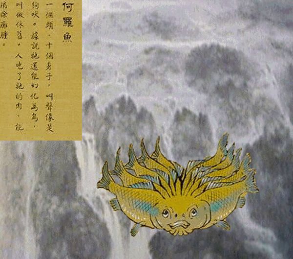 何罗鱼真实图片是什么鱼 山海经何罗鱼是不是章鱼