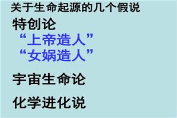 �ش�����ʲô��˼ �ش��ۺ����۵�����