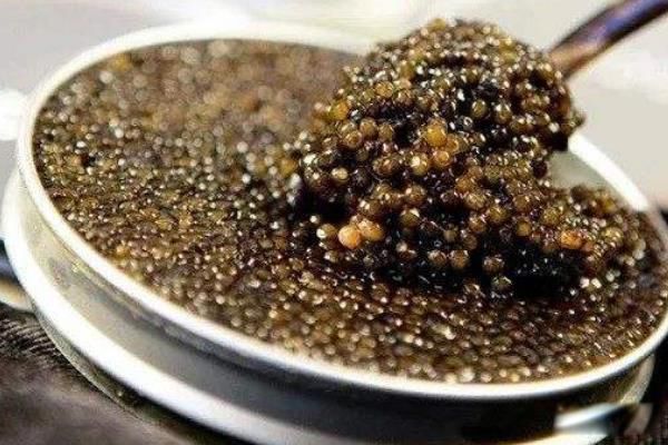 世界顶级鱼子酱价格多少钱一斤 每公斤的价格高达30万美元