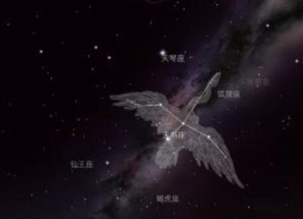 ǰʮʲô R136a1ĺ