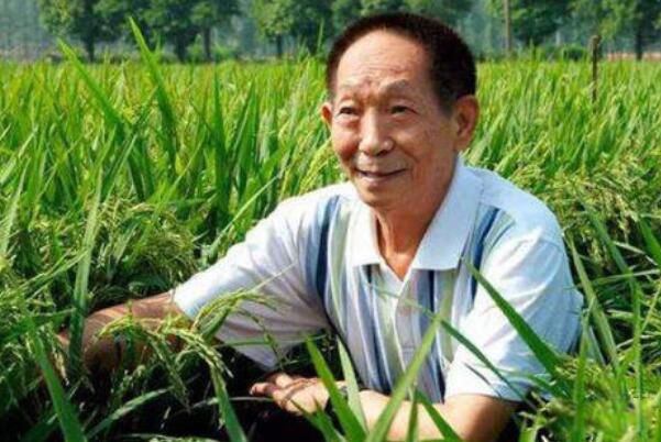 袁隆平抖音为什么被注销 抖音回应袁隆平账号注销是真的吗