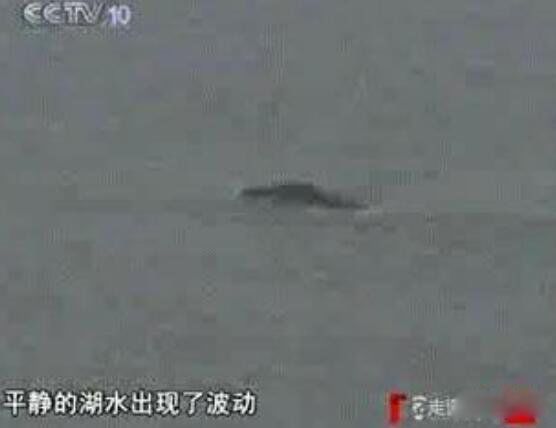 湖光岩水怪之谜真相 湖光岩龙鱼真实的视频咋回事