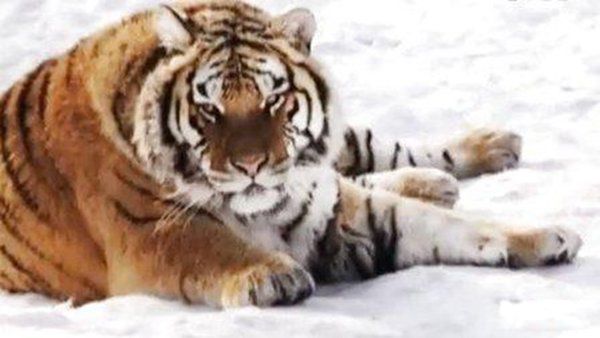 �����Ǿ޻��ж�� �����Ǿ޻������������������