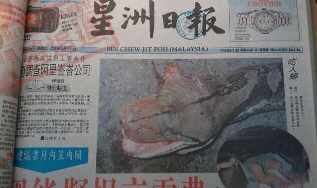 巨蟒吞人真实视频怎么回事 蟒蛇吃人全过程很可怕