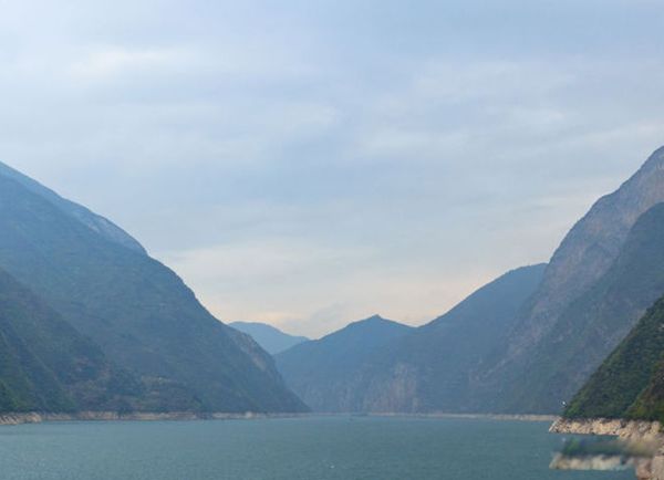 三峡猿啼之谜的真相是什么 三峡中发出的叫声是猿还是猴