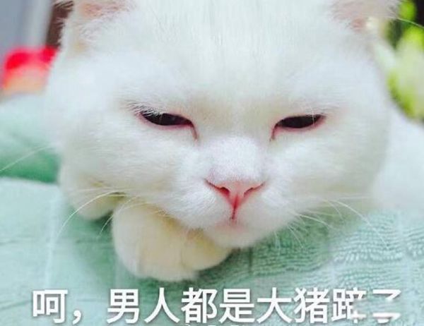 男生都是大猪蹄子的意思 为什么说男生都是大猪蹄子