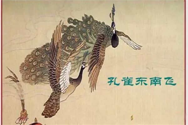 �ָ�����ָ������������Ʒ ��ȸ���ϷɵĹ��¼��