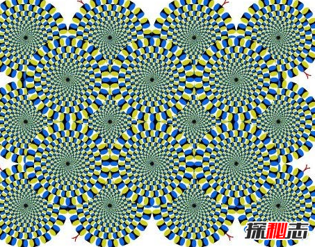 错觉图片测试智商 10张错觉图片诡异恐怖