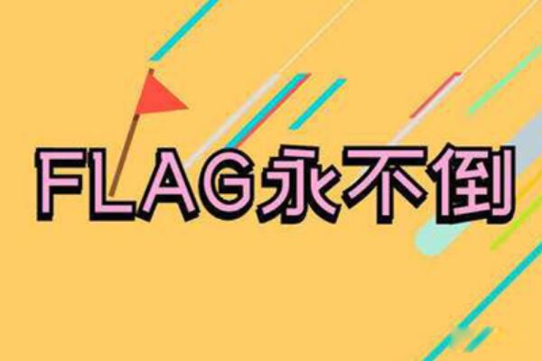 flag�����������ʲô��˼ flag���������Щ��