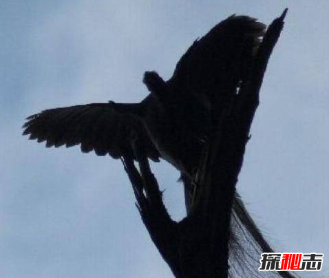 �Ĵ�������Ĵ��ڹ���?ȷʵ�����ĵ����Ĵ�������?