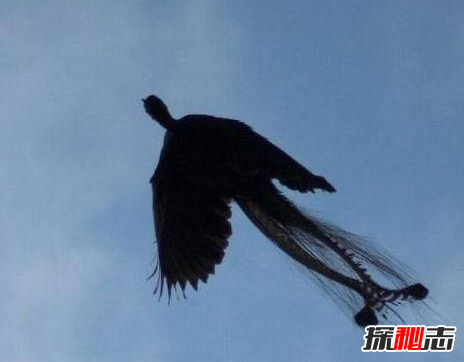 �Ĵ�������Ĵ��ڹ���?ȷʵ�����ĵ����Ĵ�������?