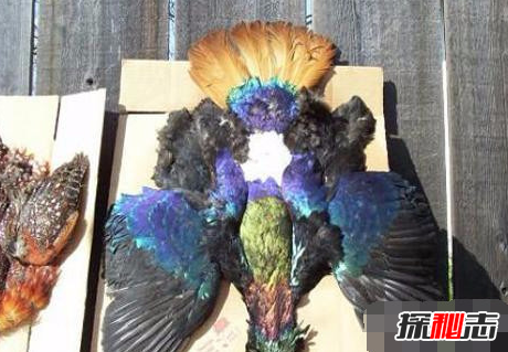 �Ĵ�������Ĵ��ڹ���?ȷʵ�����ĵ����Ĵ�������?